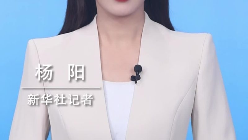 数据湖与数据仓库：企业数据管理的双剑合璧